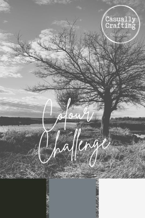 Color Challenge