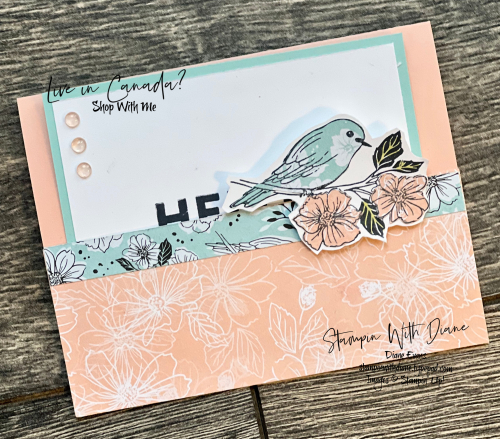Friendly Hello Stampin' Up Stampin With Diane Evans
