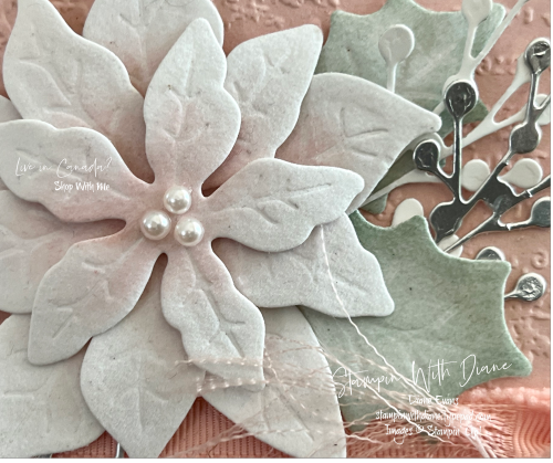Poinsettia Petals CU Stampin Up Stampin Wtih Diane Evans Poinsettia Petals CU Stampin Up Stampin Wtih Diane Evans