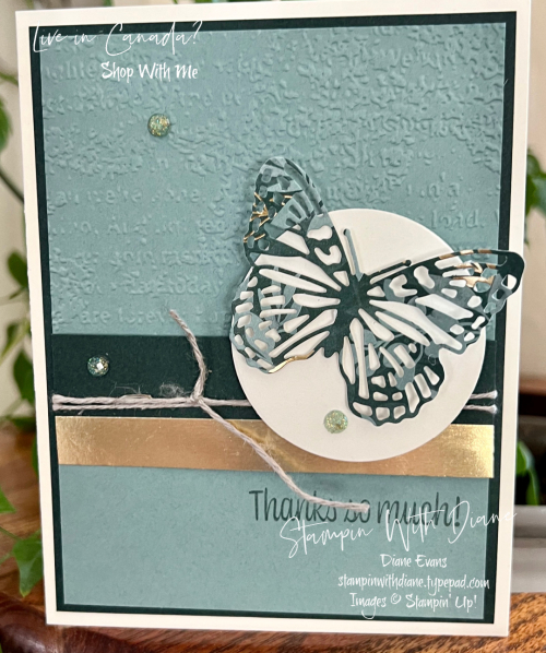 Edens Garden Stampin Up Thank You Cards Stampin With Diane
