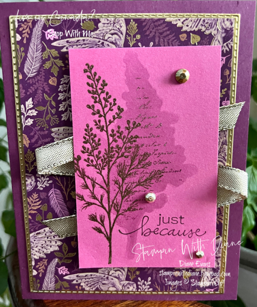 Beauty Of Tomorrow Stampin' Up! Stampin With Diane Evans