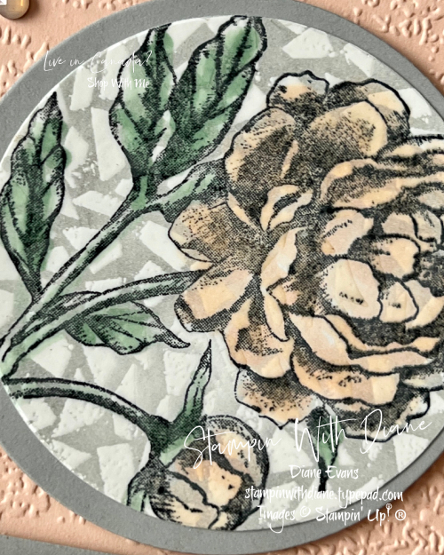 Prized Peony Stampin Up2