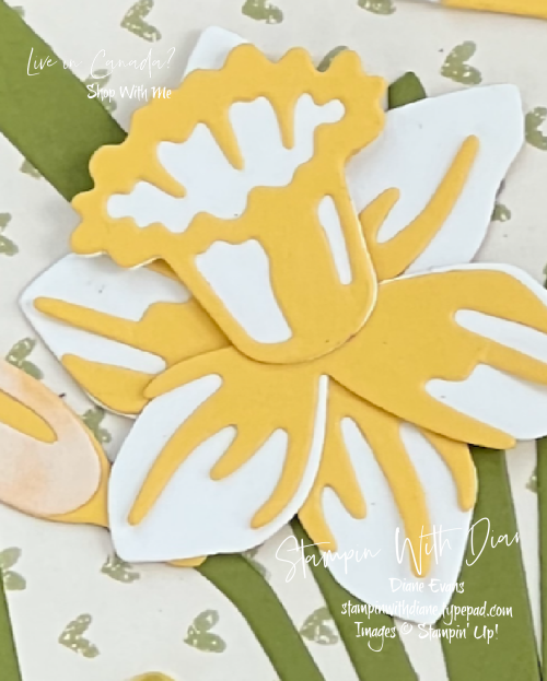Daffodil Daydream CU Stampin Up