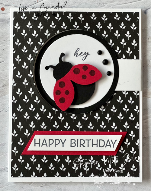 Hello Ladybug Stampin up 5