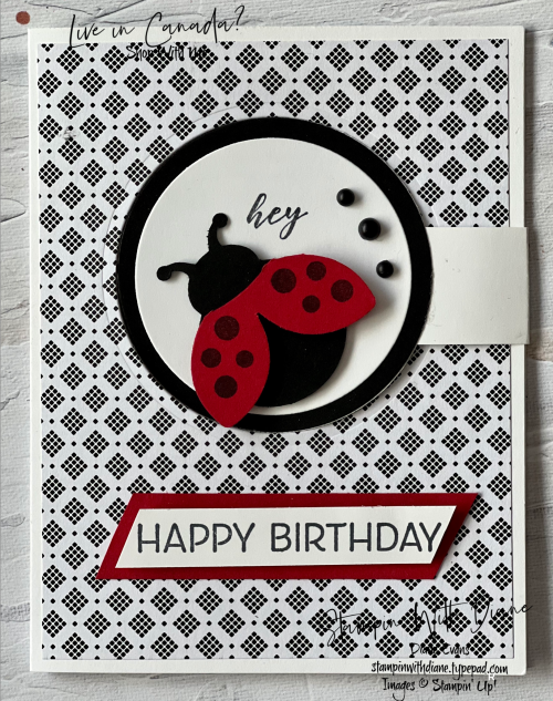 Hello ladybug Stampin Up 4