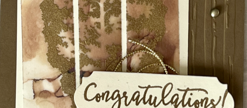 Amazing Silhouettes Stampin Up