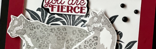Wild Cats SU Wild Cats SU