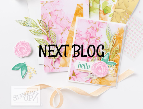Next Blog