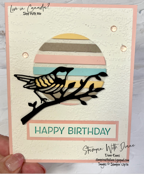 Iconic Birthday Su