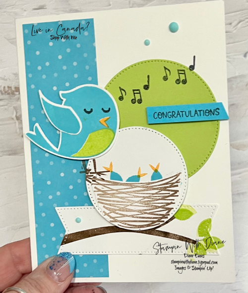 Sweet Songbird SU 