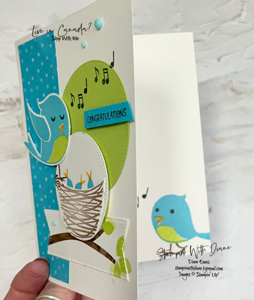 Sweet Songbird SU2