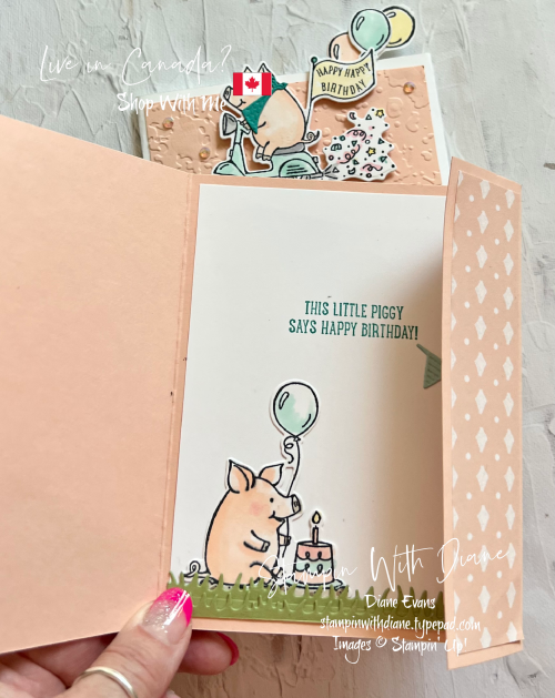 My Birthday Piggy SU4 My Birthday Piggy SU4