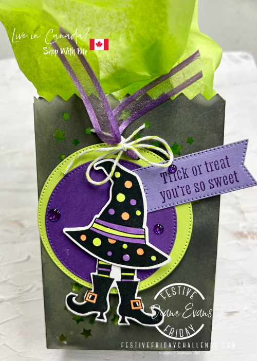 Bewitched Stampin up Treat Bag Bewitched Stampin up Treat Bag