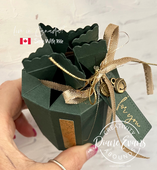 Carcker Gift Box SU 2 Carcker Gift Box SU 2