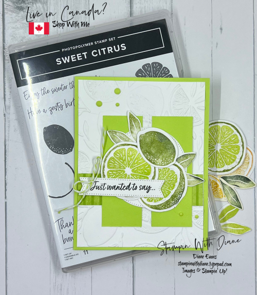 Sweet Citru Stampin up 1
