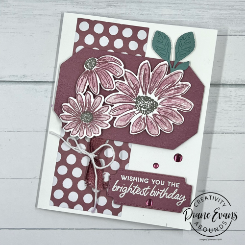 CA Cheerful Daisy 11