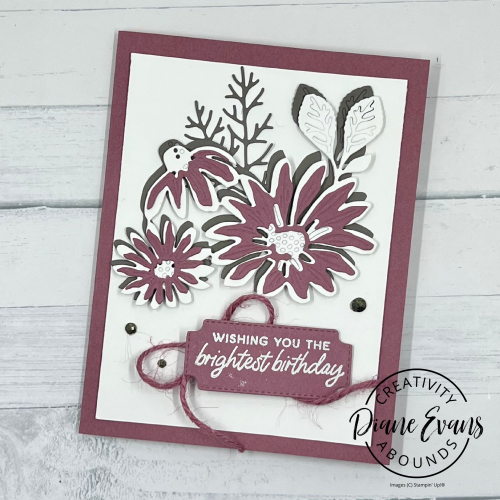 Cheerful Daisy SU CA Cheerful Daisy SU CA