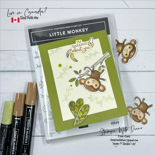 Little Monkey SU CC1 Little Monkey SU CC1