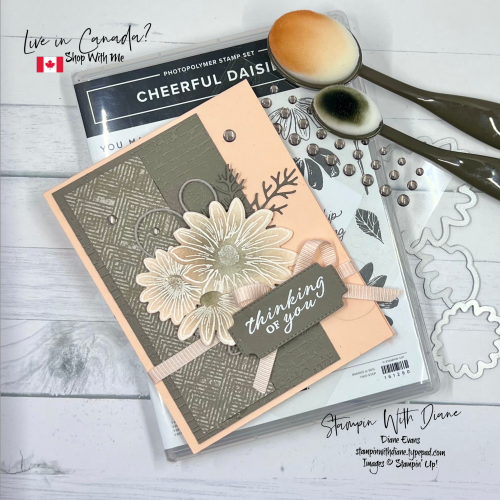 Cheerful Daisy SU 6 Cheerful Daisy SU 6