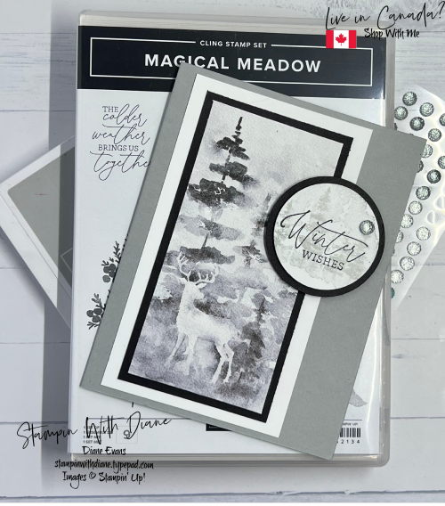 Magical Meadow SU 1 Magical Meadow SU 1