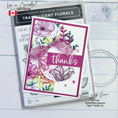 Translucent Floras Winners Translucent Floras Winners