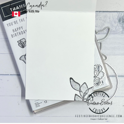 Translucent Florals FF for SU 2