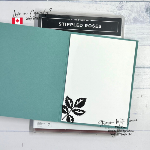 Stippled Rose SU 2 Stippled Rose SU 2