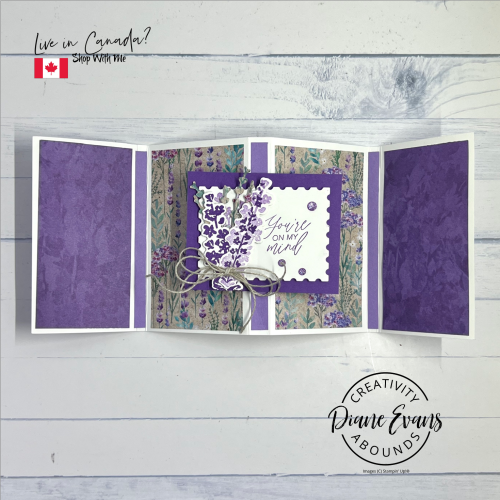 Painted Lavender SU 22C Painted Lavender SU 22C
