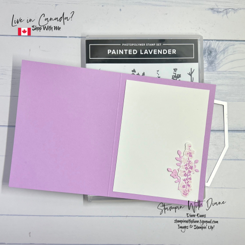 Painted Lavender SU 22B Painted Lavender SU 22B