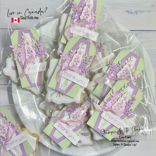 Feb Cookies and tags Feb Cookies and tags