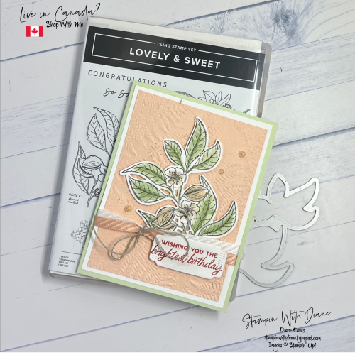 Lovely & Sweet SU 1 Lovely & Sweet SU 1