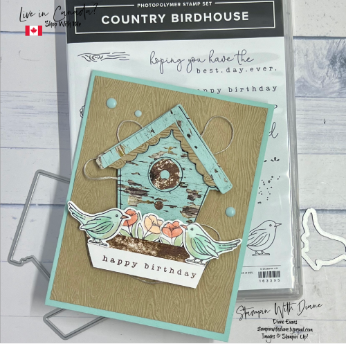 Country Birdhouse SU mirror