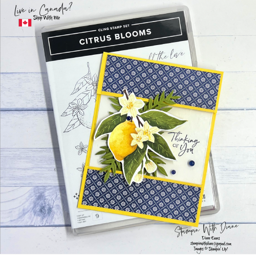 Citrus Blooms SU fbh Citrus Blooms SU fbh