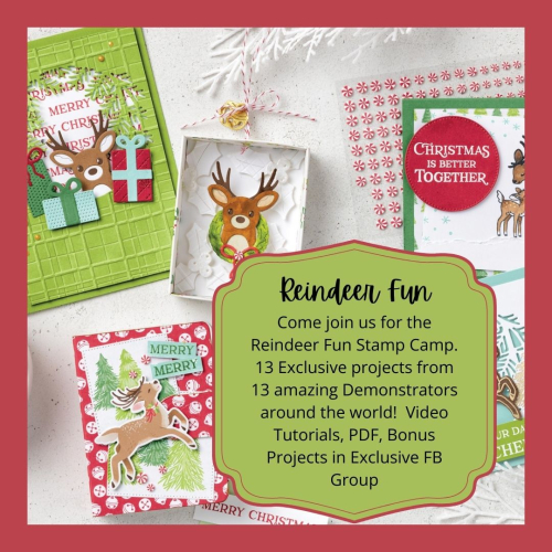 Reindeer fun Graphic Reindeer fun Graphic