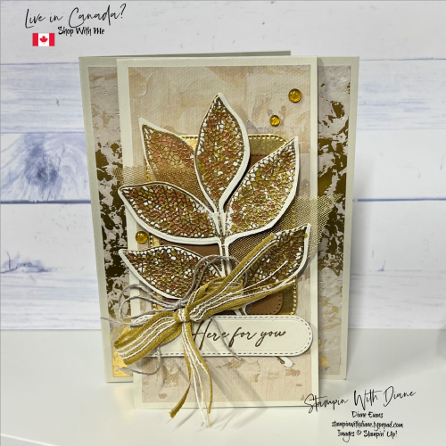 Changing Leaves SU 1C