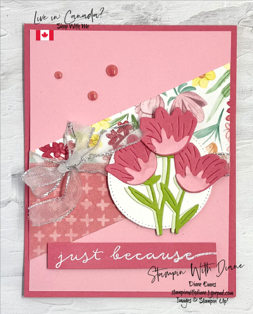 Florals in Bloom Florals in Bloom