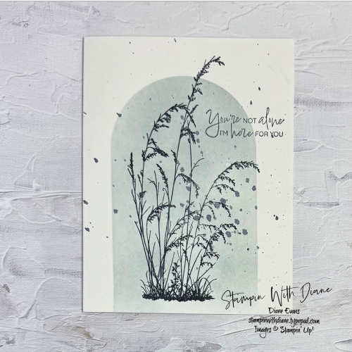 Prairie Grass Prairie Grass
