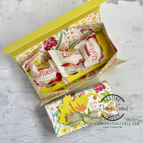 FF Chocolate FF Chocolate